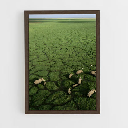 ap-okavango delta-1 cadre Bois foncé