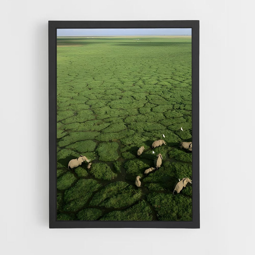ap-okavango delta-1 cadre Noir