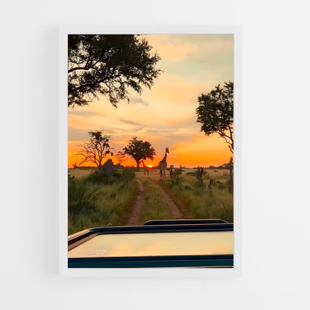 ap-okavango delta-6 cadre Blanc