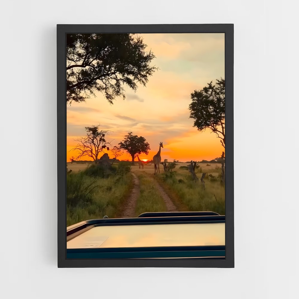 ap-okavango delta-6 cadre Noir