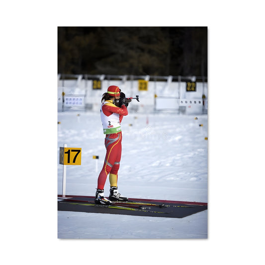Poster Ski & Tir