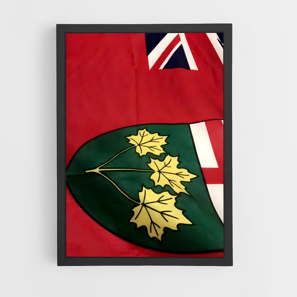 ap-ontario flag-2 cadre Noir