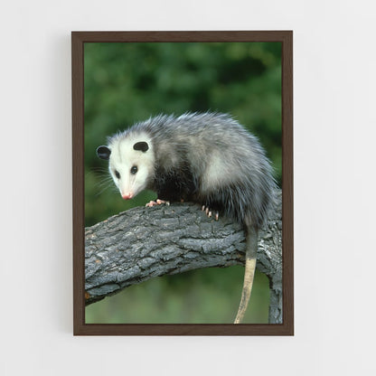 ap-opossum-1 cadre Bois foncé