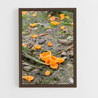 ap-orange peel fungus-1 cadre Bois foncé