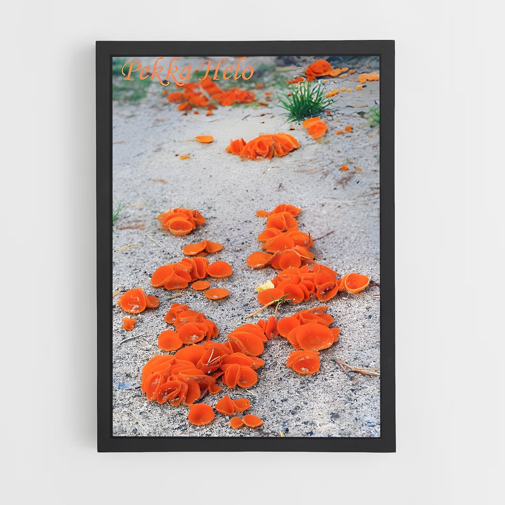 ap-orange peel fungus-3 cadre Noir