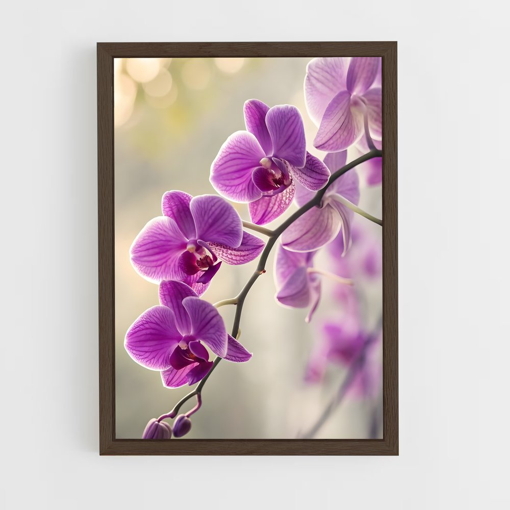 ap-orchid-1 cadre Bois foncé