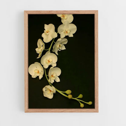 ap-orchid-2 cadre Bois clair