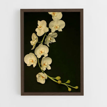 ap-orchid-2 cadre Bois foncé