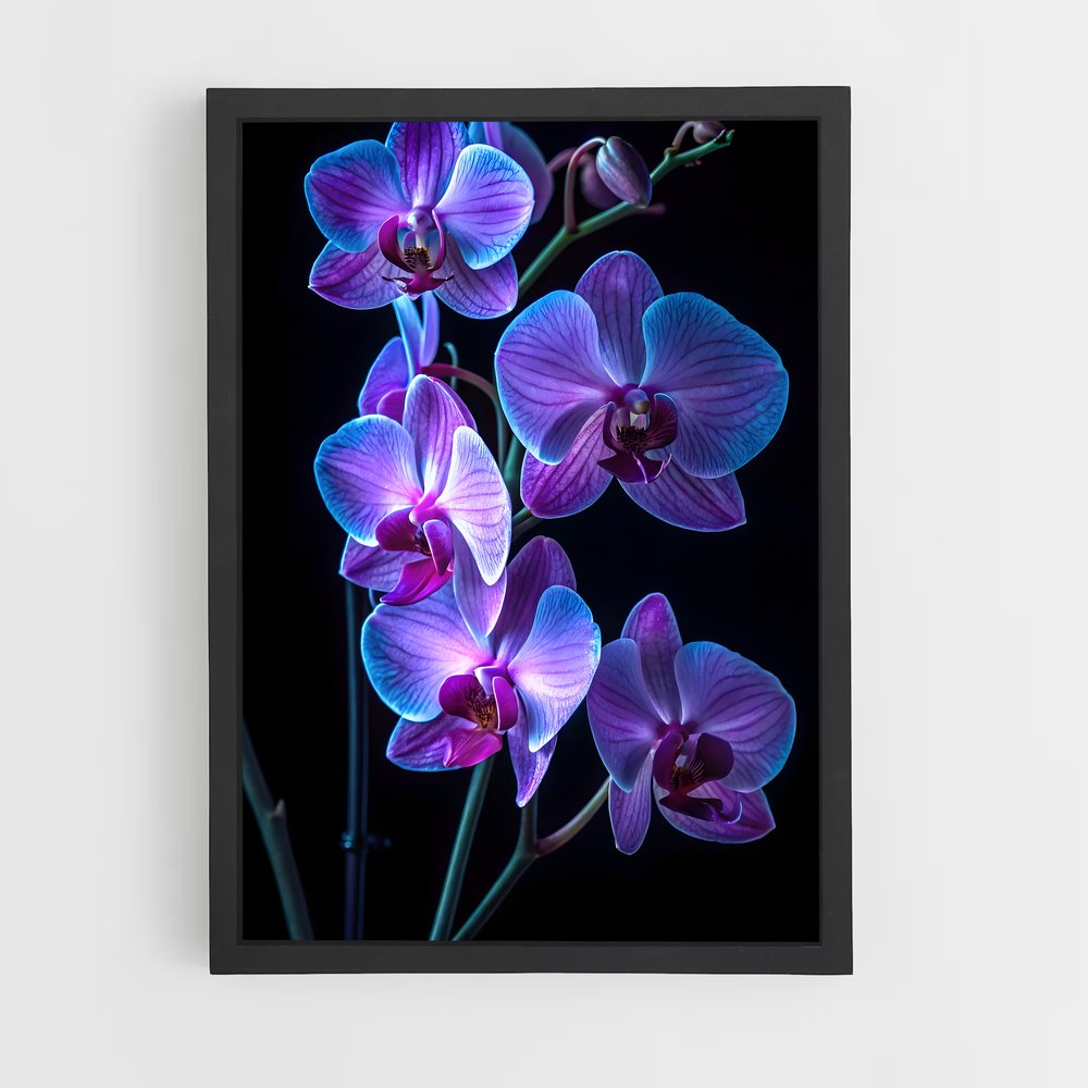 ap-orchid-4 cadre Noir