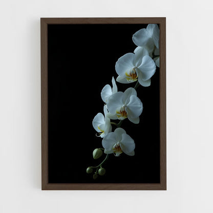ap-orchid-5 cadre Bois foncé