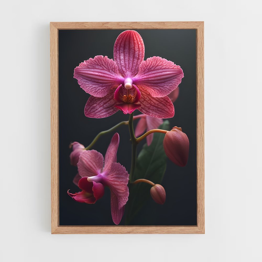 ap-orchid-6 cadre Bois clair