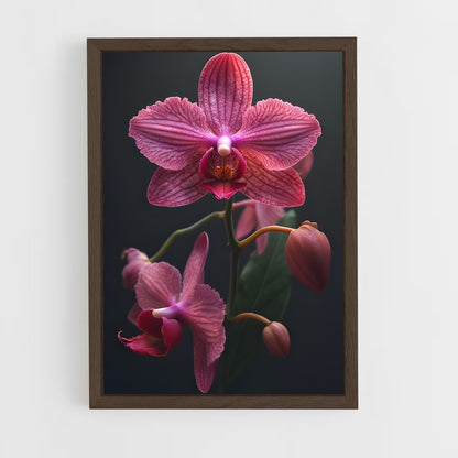 ap-orchid-6 cadre Bois foncé