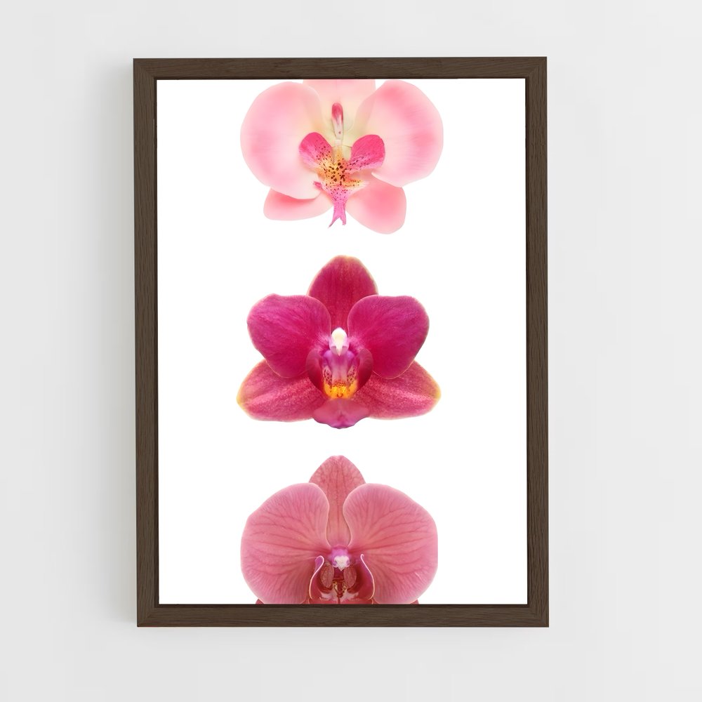 ap-orchid-8 cadre Bois foncé