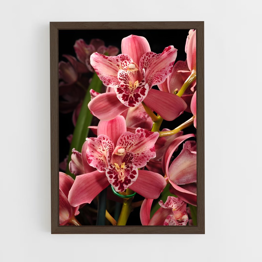 ap-orchid-9 cadre Bois foncé