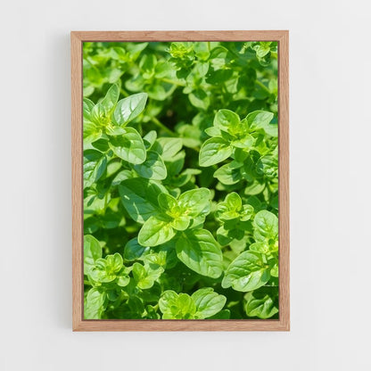 ap-oregano-2 cadre Bois clair