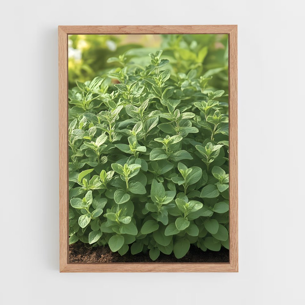 ap-oregano-3 cadre Bois clair