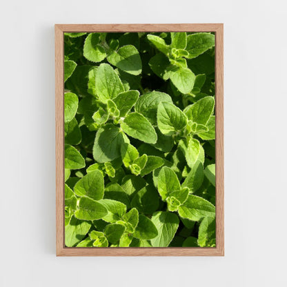 ap-oregano-5 cadre Bois clair