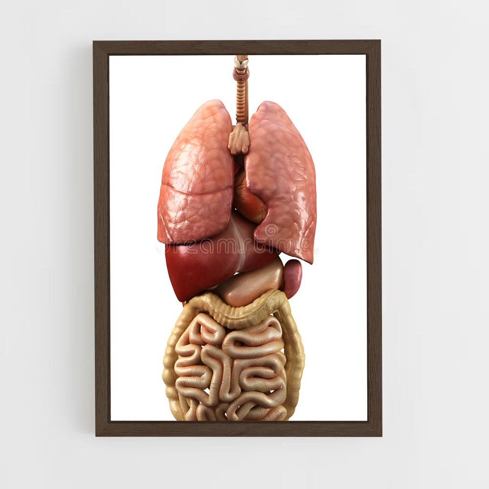 ap-organs-3 cadre Bois foncé