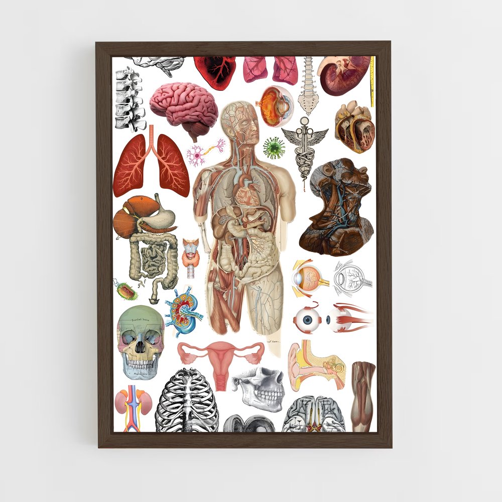 ap-organs-6 cadre Bois foncé