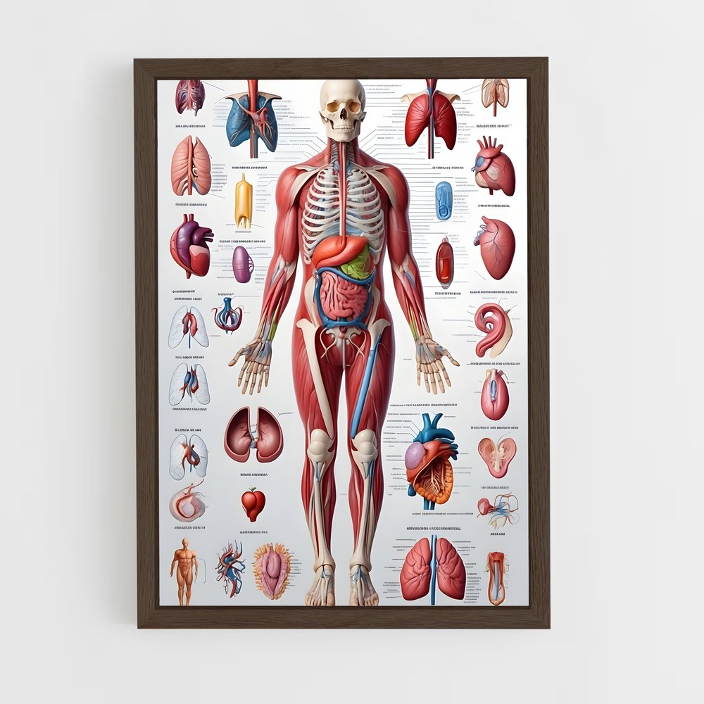 ap-organs-9 cadre Bois foncé