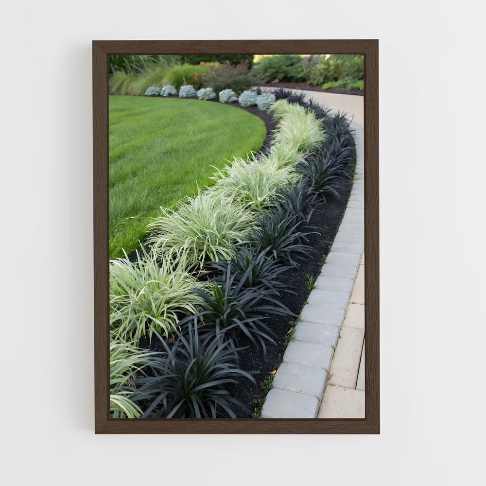 ap-ornamental grass-1 cadre Bois foncé