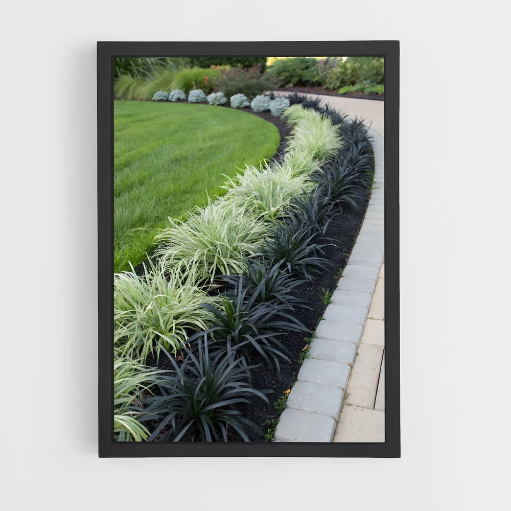 ap-ornamental grass-1 cadre Noir