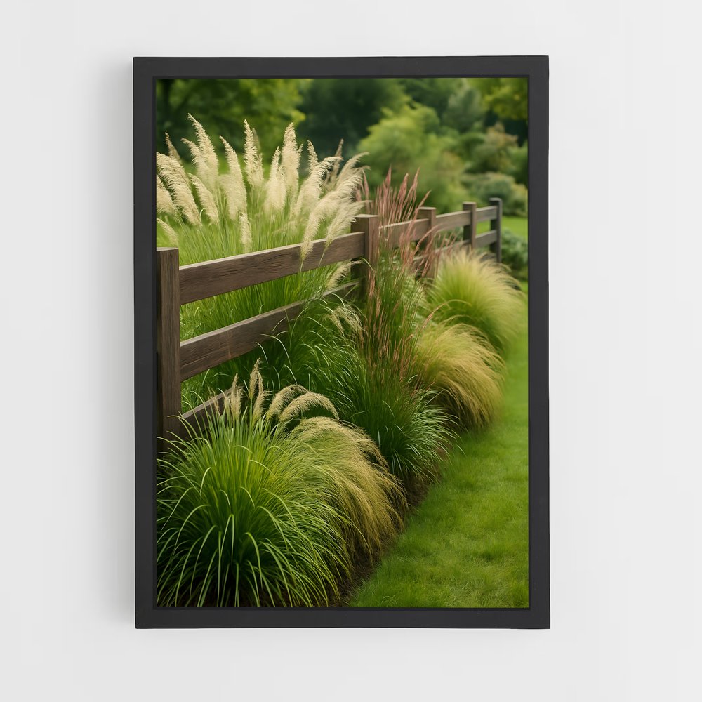 ap-ornamental grass-2 cadre Noir