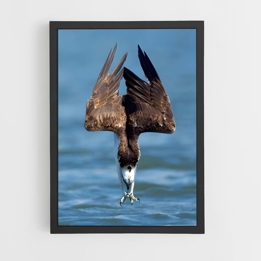 ap-osprey-4 cadre Noir
