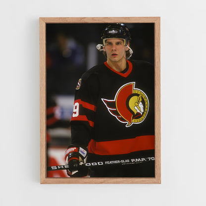 ap-ottawa senators-10 cadre Bois clair