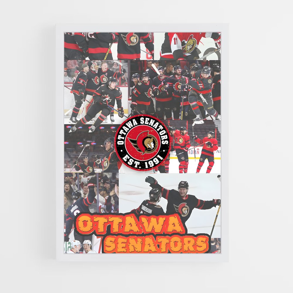 ap-ottawa senators-2 cadre Blanc