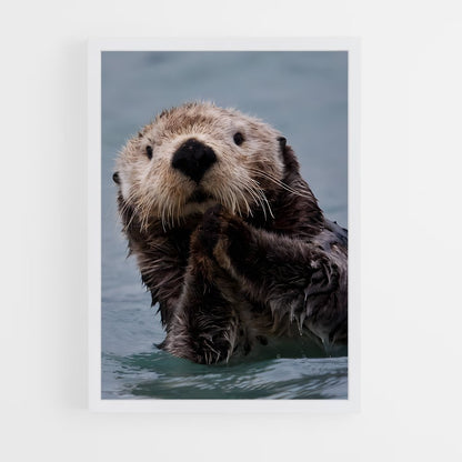 ap-otter-2 cadre Blanc