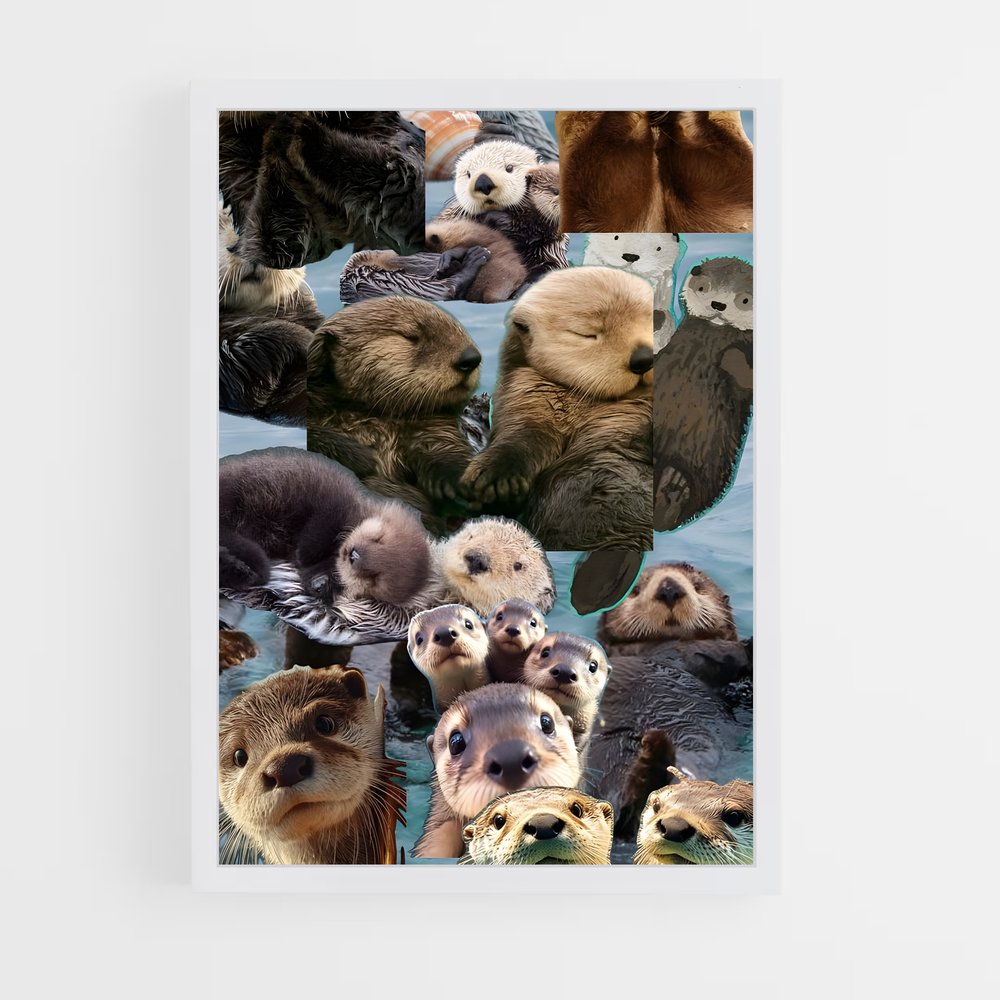 ap-otter-3 cadre Blanc