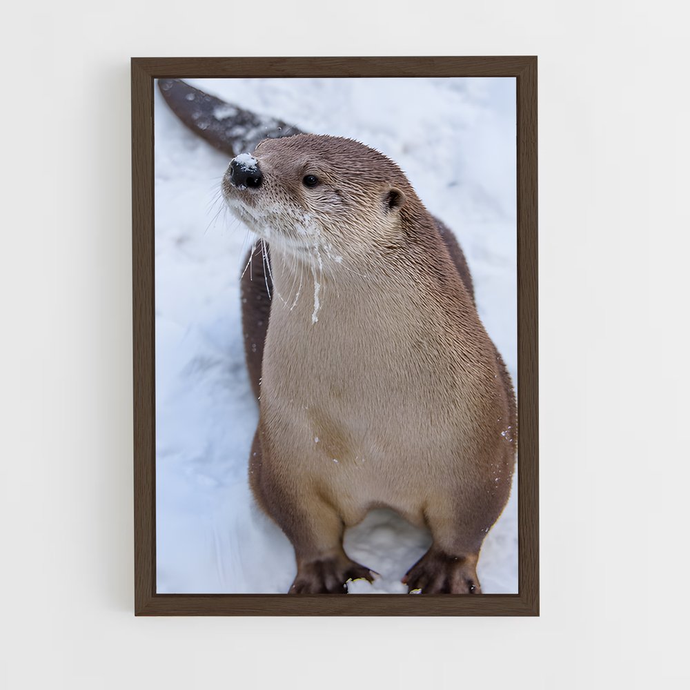 ap-otter-4 cadre Bois foncé
