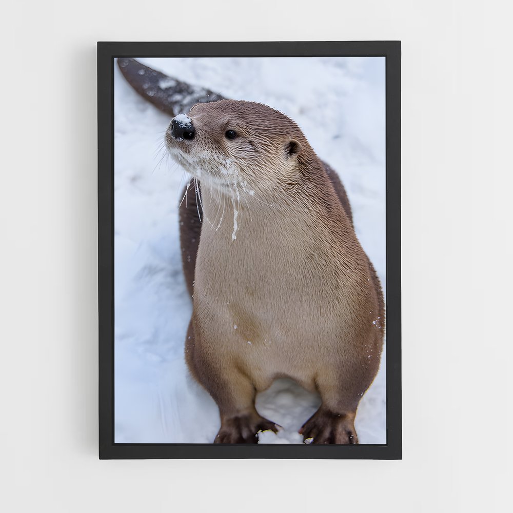 ap-otter-4 cadre Noir