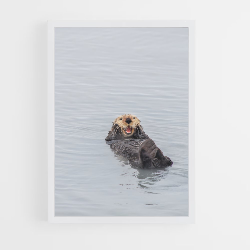 ap-otter-5 cadre Blanc