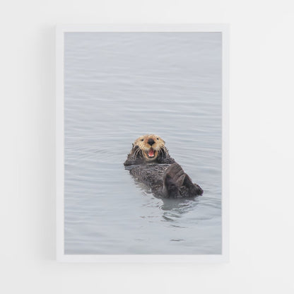 ap-otter-5 cadre Blanc