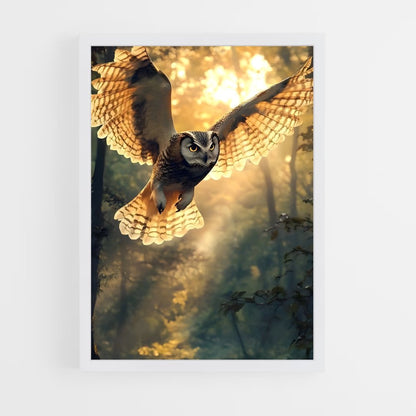 ap-owl-12 cadre Blanc