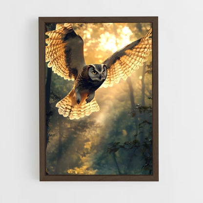 ap-owl-12 cadre Bois foncé