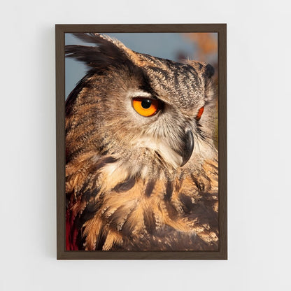 ap-owl-14 cadre Bois foncé