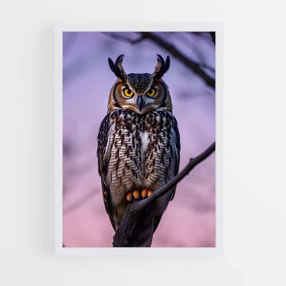 ap-owl-3 cadre Blanc