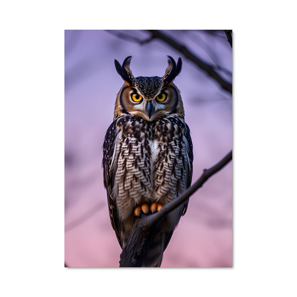 Poster Hibou Majestueux
