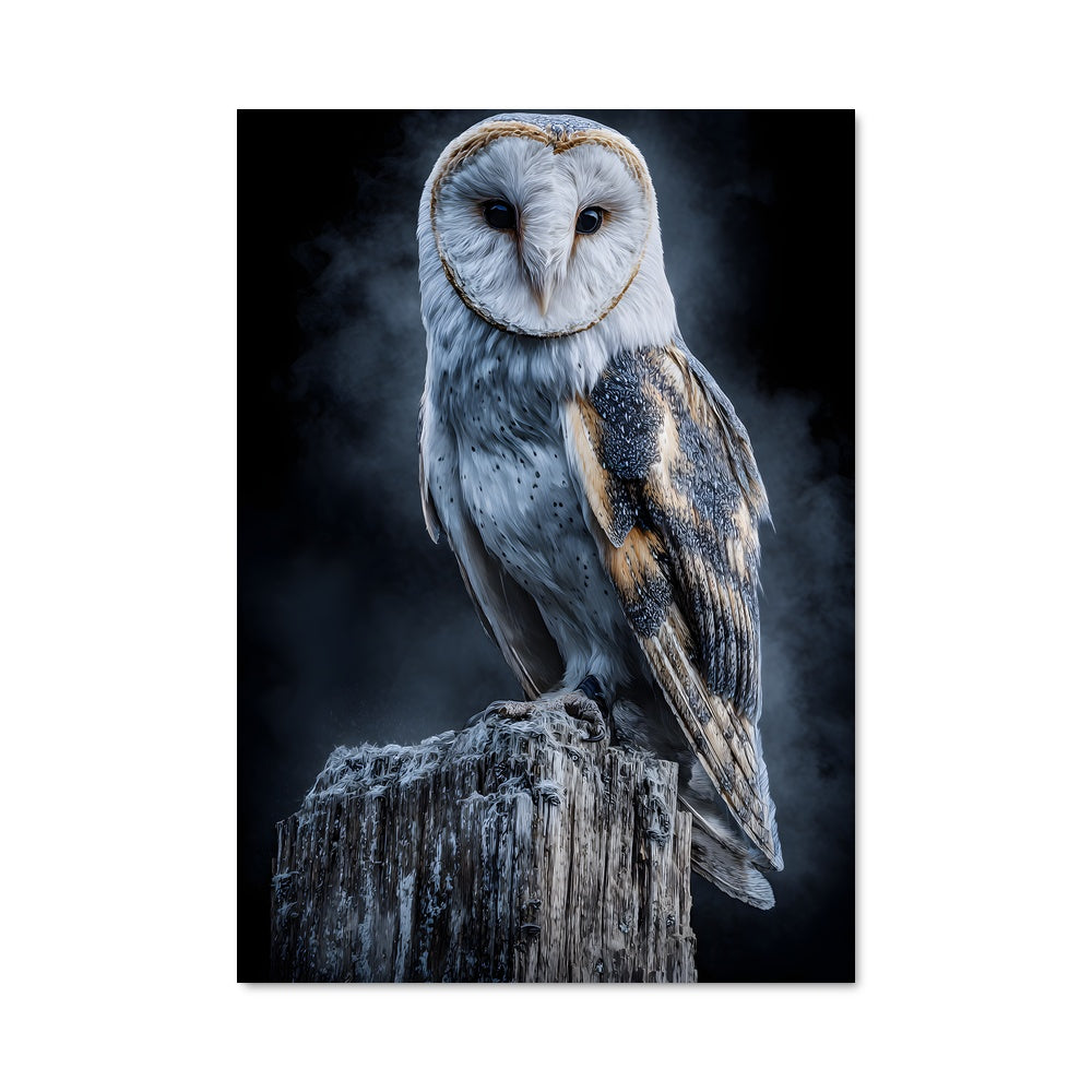 Poster Owl 84087