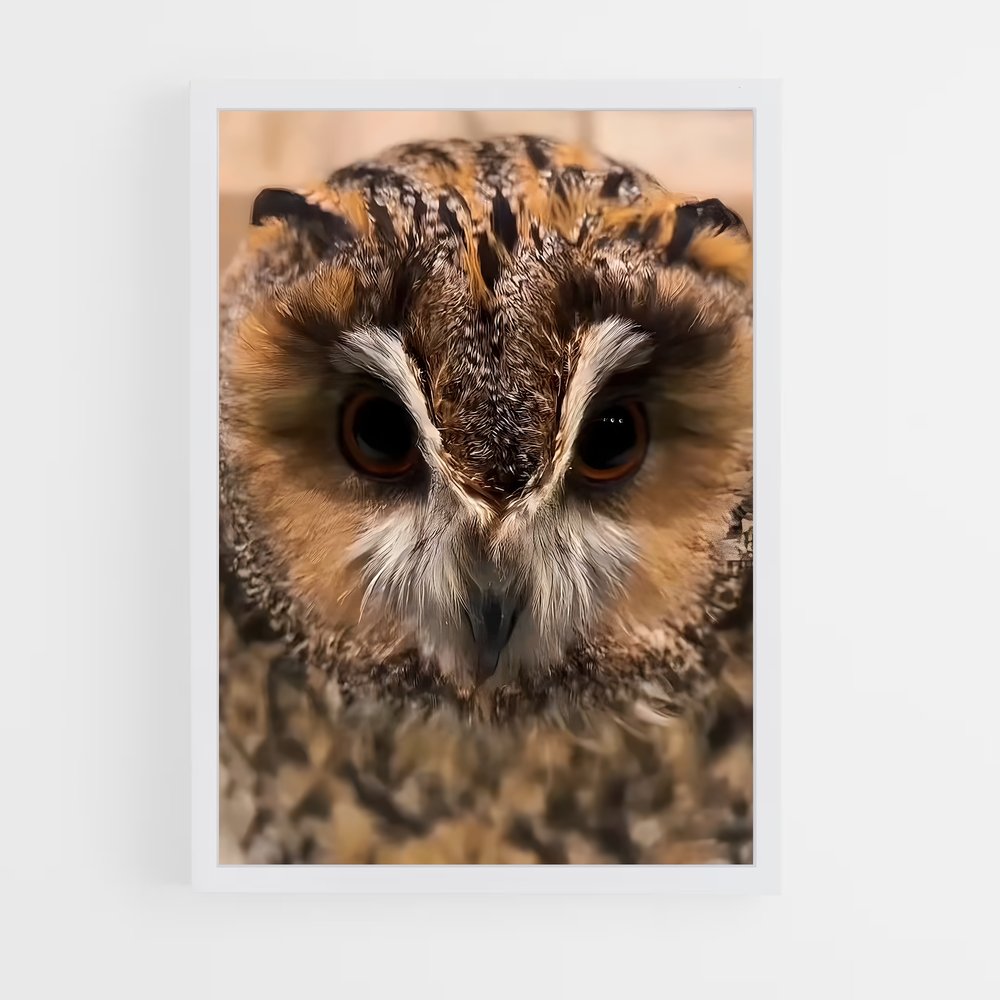 ap-owl-6 cadre Blanc