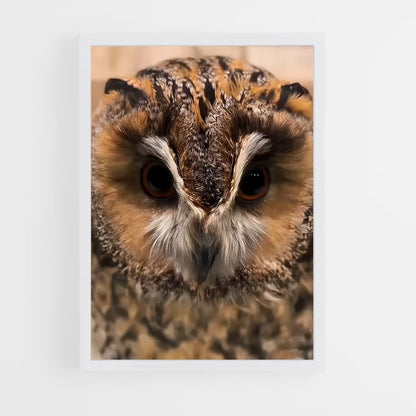 ap-owl-6 cadre Blanc