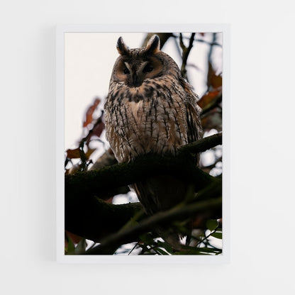 ap-owl-7 cadre Blanc