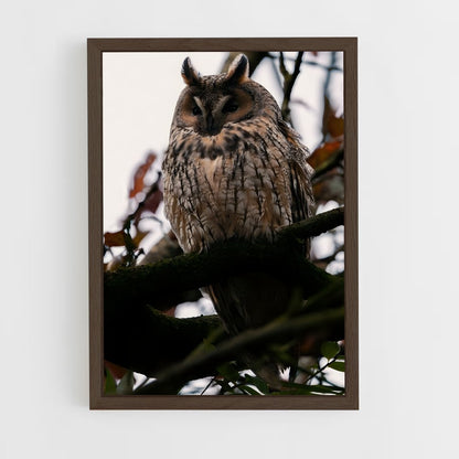 ap-owl-7 cadre Bois foncé