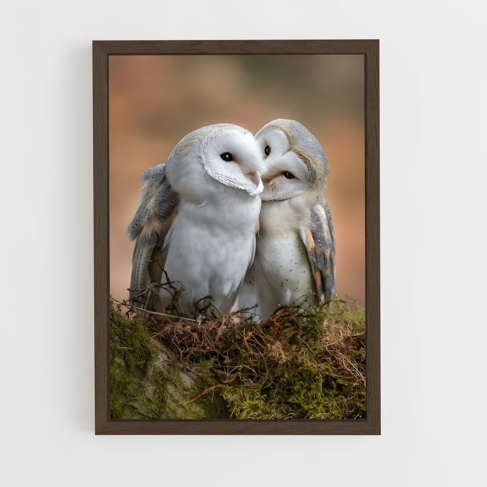 ap-owl-8 cadre Bois foncé