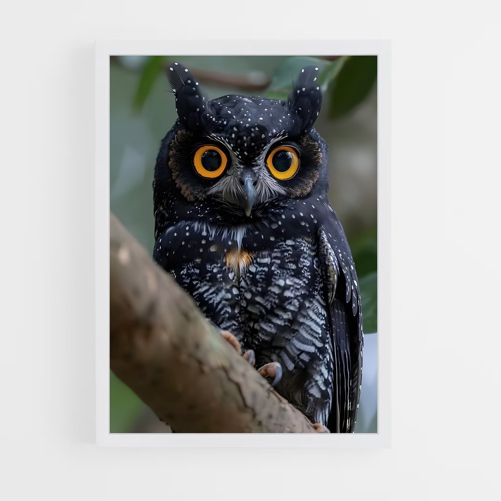 ap-owl-9 cadre Blanc