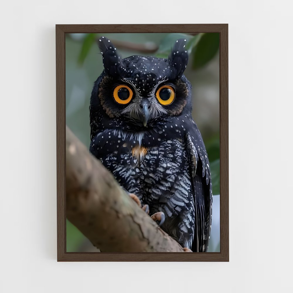 ap-owl-9 cadre Bois foncé