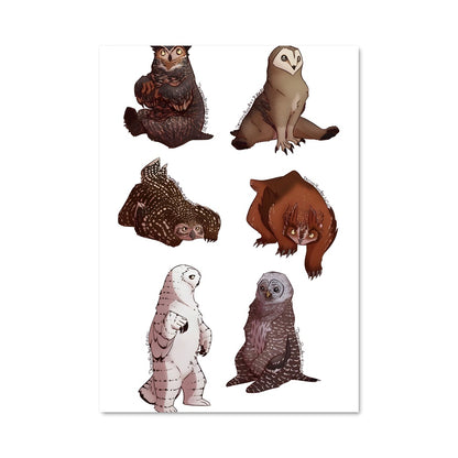 Poster L'Ours Chouette